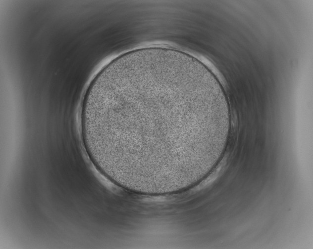 X0000111811054200909031426