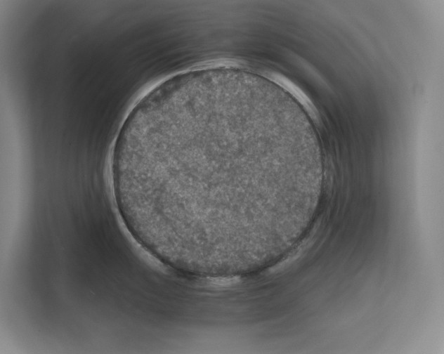 X0000111811055200909031426