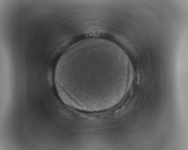X0000111811060200909031426