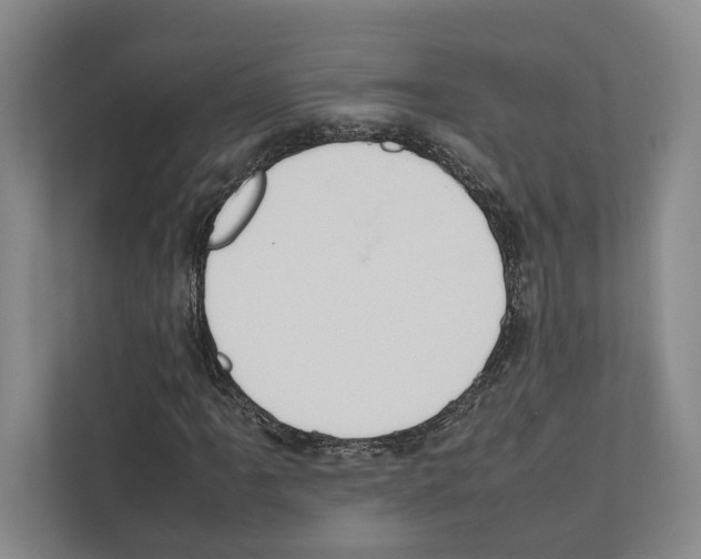 X0000111811061200909031426