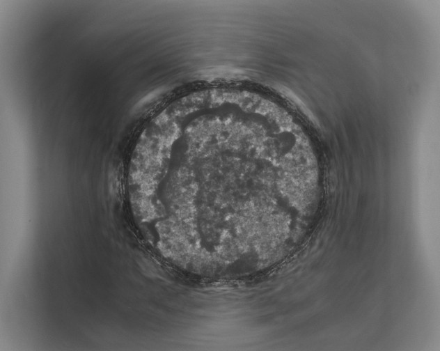 X0000111811063200909031426