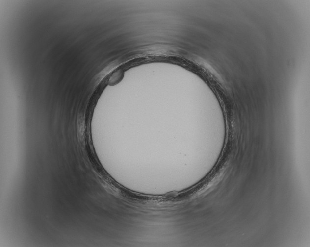 X0000111811065200909031426
