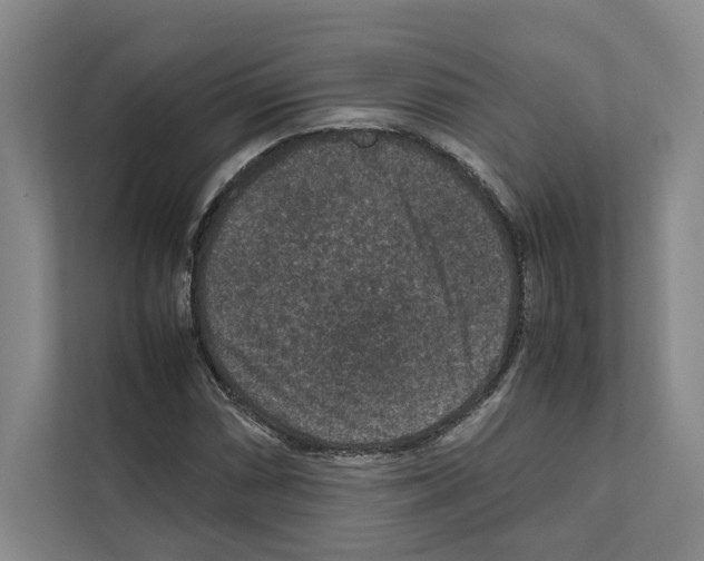 X0000111811066200909031426