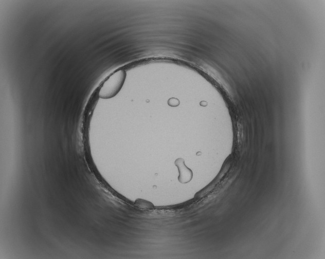 X0000111811068200909031426