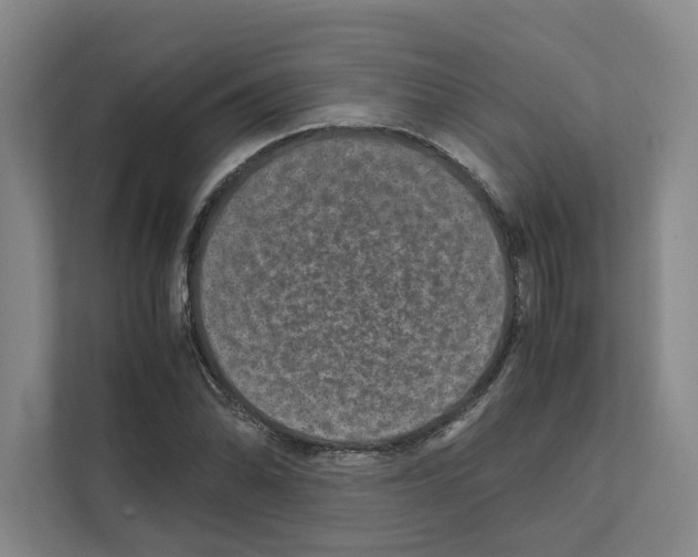 X0000111811070200909031426