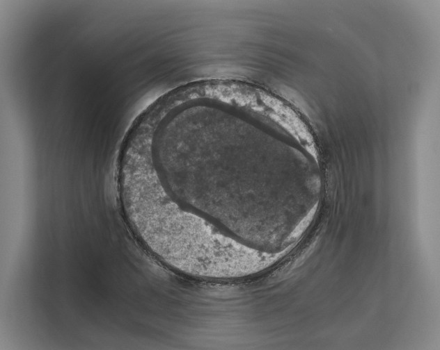 X0000111811071200909031426