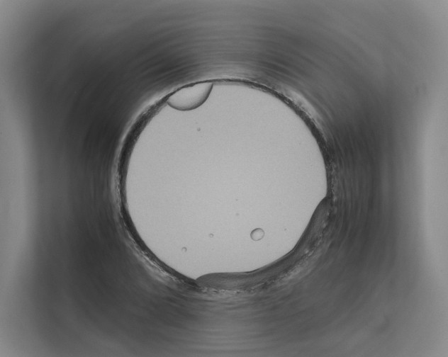 X0000111811072200909031425