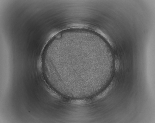 X0000111811074200909031425