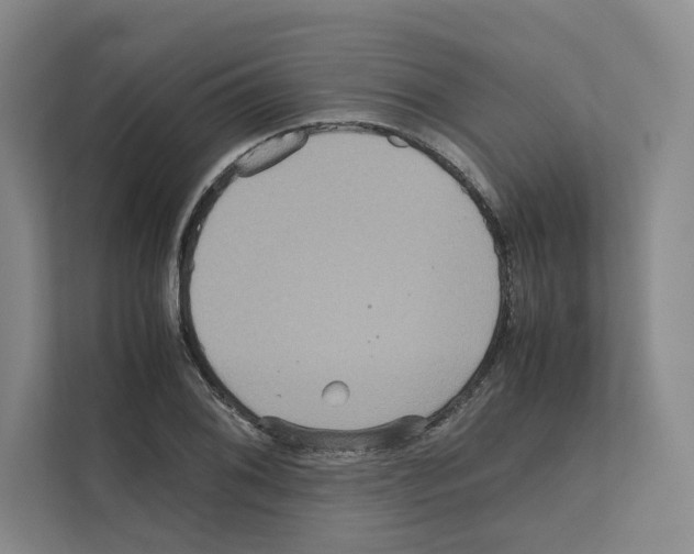 X0000111811076200909031425