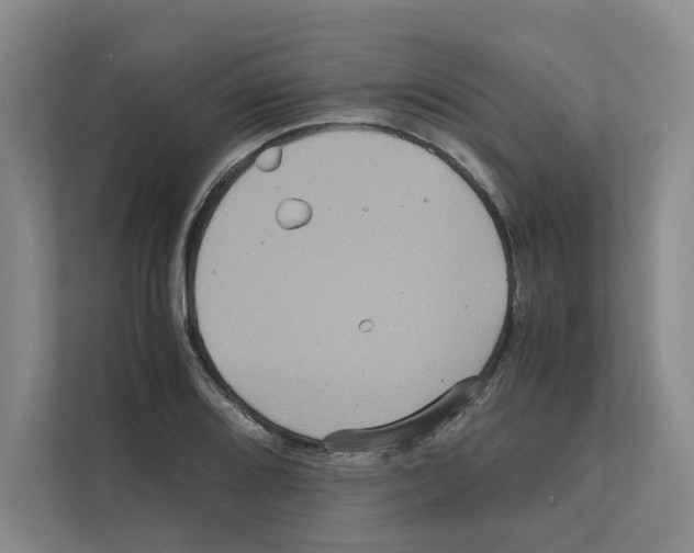 X0000111811080200909031425
