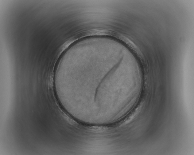 X0000111811081200909031425