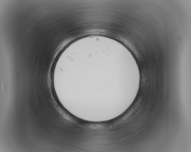X0000111811082200909031425