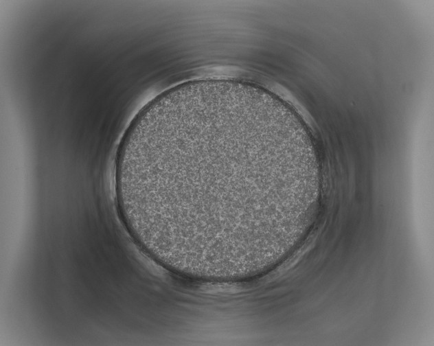 X0000111811083200909031425