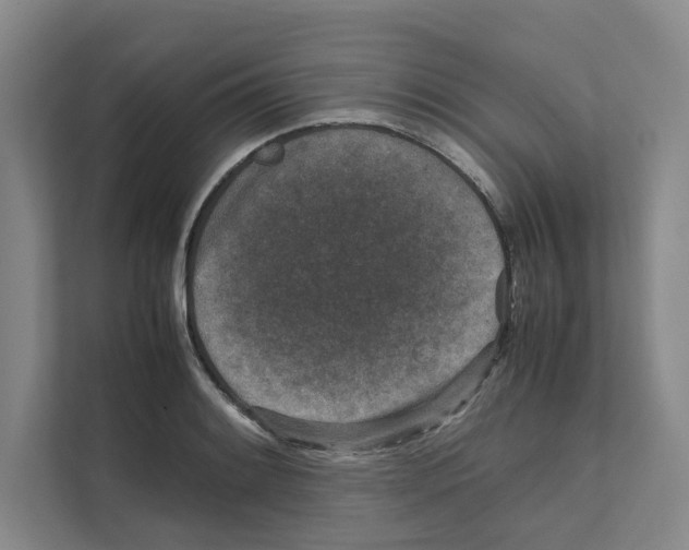 X0000111811084200909031425