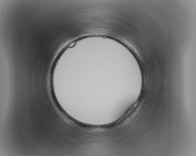 X0000111811085200909031425