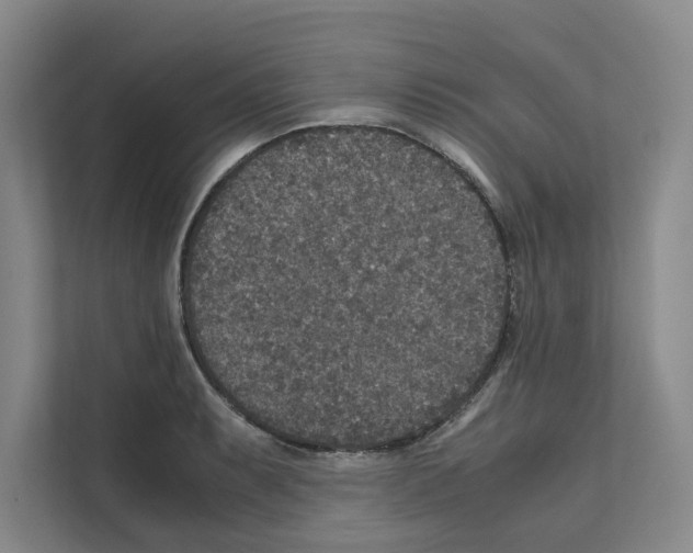 X0000111811087200909031425