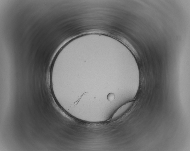 X0000111811092200909031425
