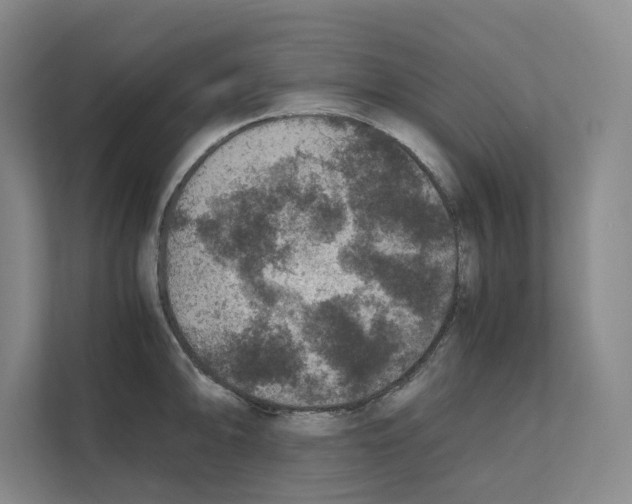 X0000111811094200909031425