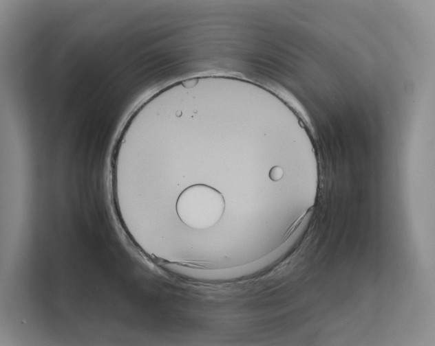 X0000111811096200909031425