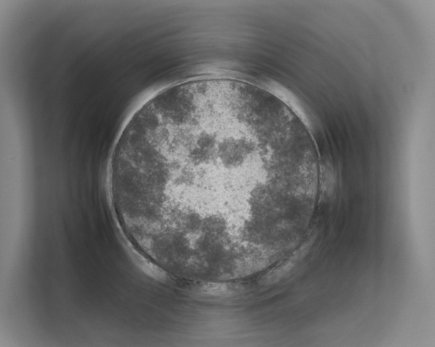 X0000111811098200909031425