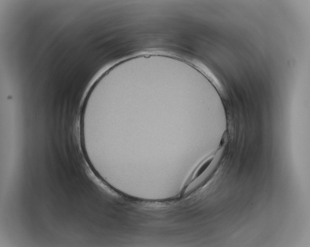 X0000111811100200909031425