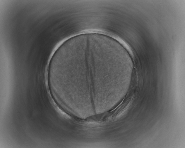 X0000111811102200909031425