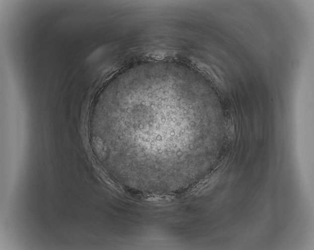 X0000111811105200909031424