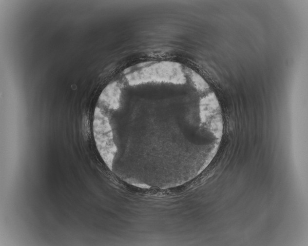 X0000111811106200909031424