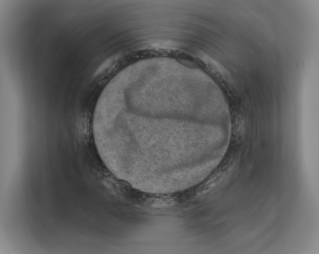 X0000111811110200909031425