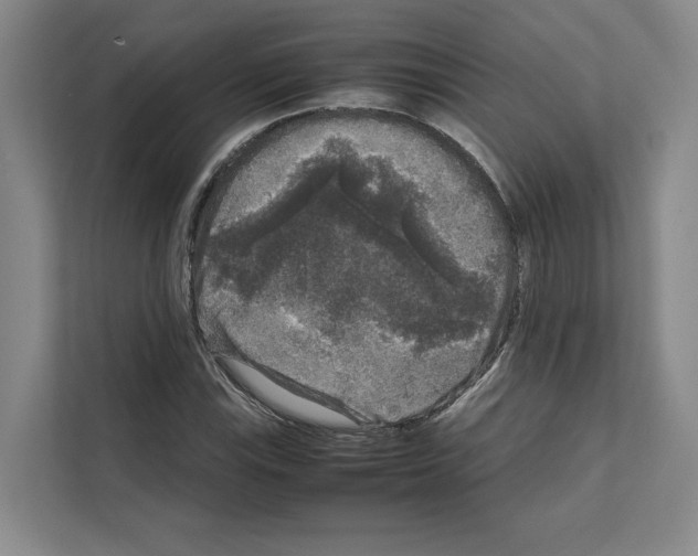 X0000111811115200909031425