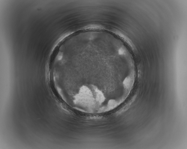 X0000111811117200909031425