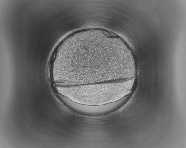 X0000111811118200909031425
