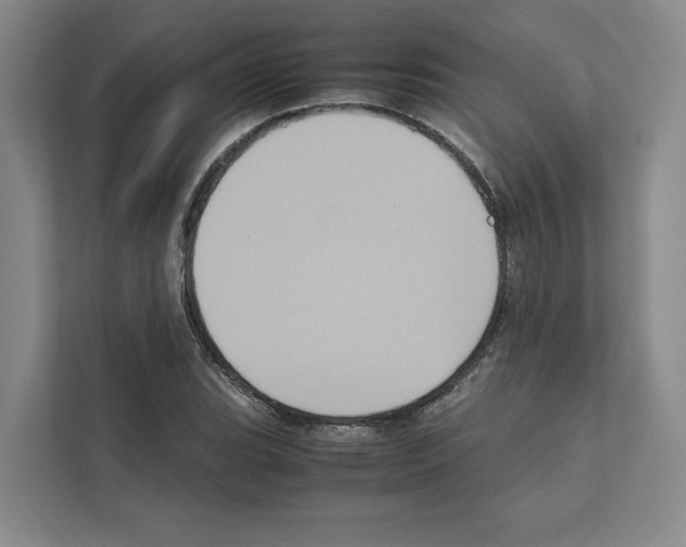X0000111811119200909031425