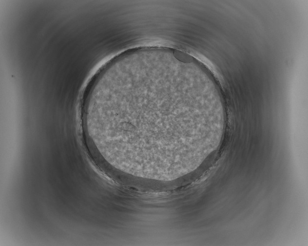 X0000111811120200909031425