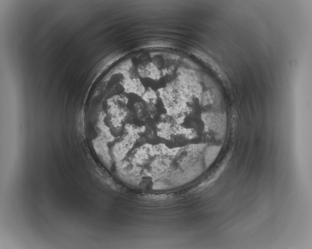 X0000111811121200909031425