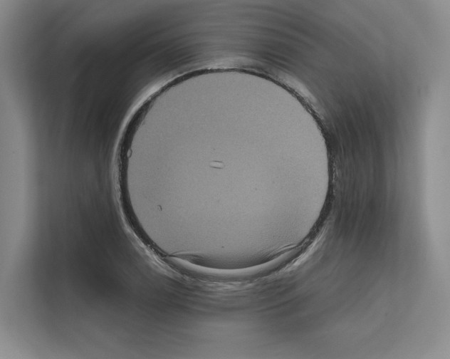 X0000111811122200909031425
