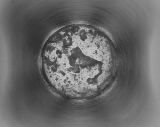 X0000111811125200909031425
