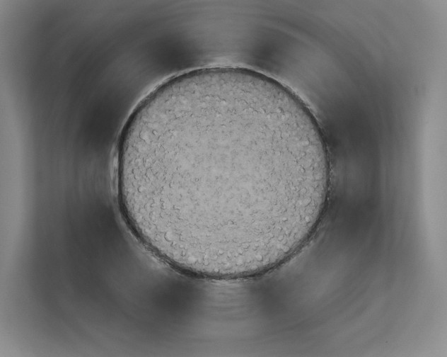 X0000111811126200909031425