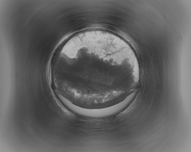 X0000111811127200909031425