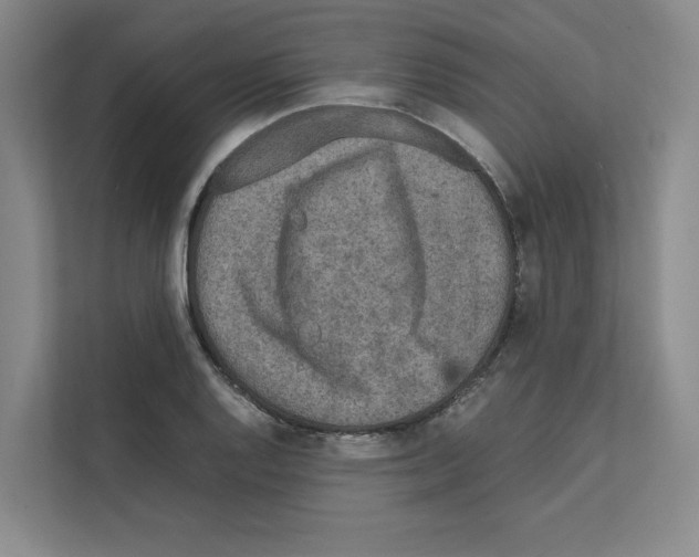 X0000111811128200909031425