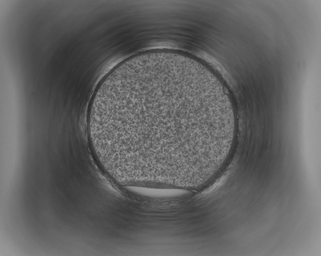 X0000111811129200909031425