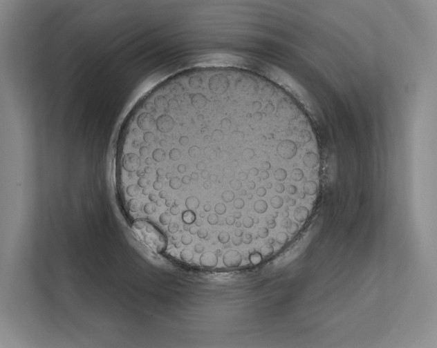 X0000111811130200909031425