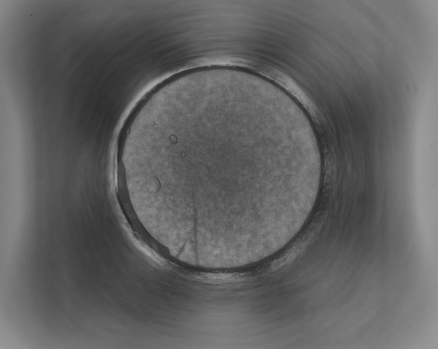 X0000111811132200909031425