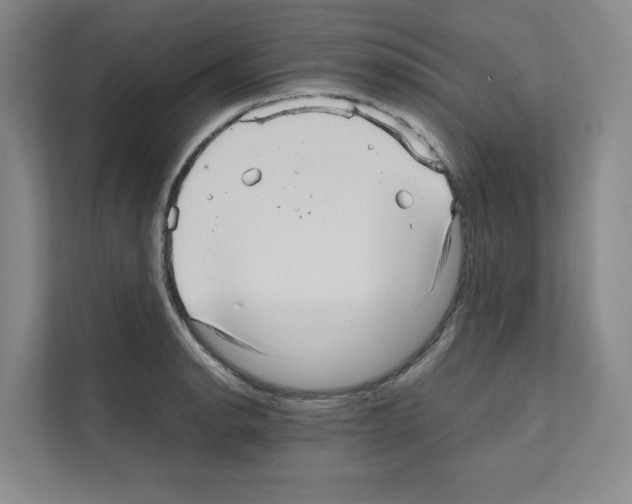 X0000111811134200909031425