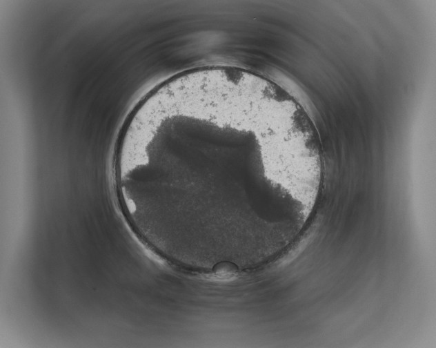 X0000111811141200909031425