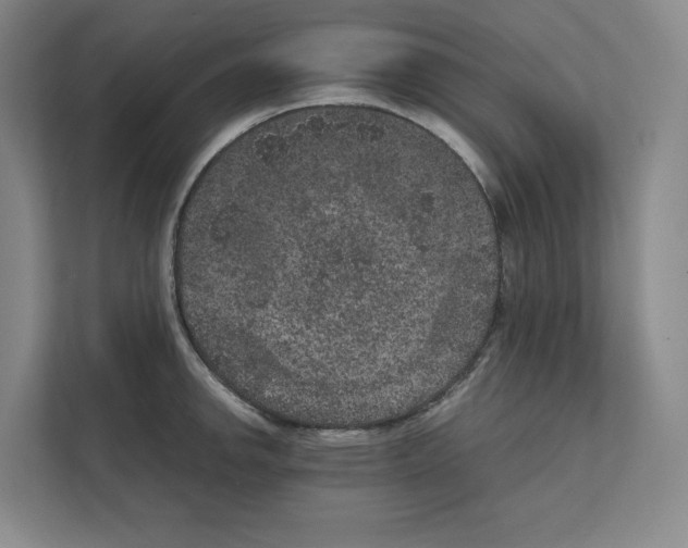 X0000111811142200909031425