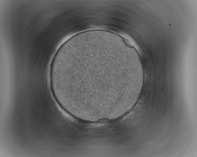 X0000111811143200909031425