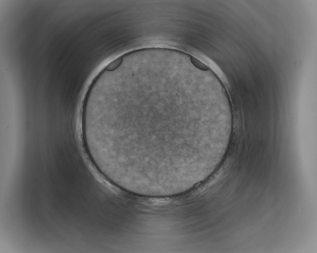 X0000111811144200909031425