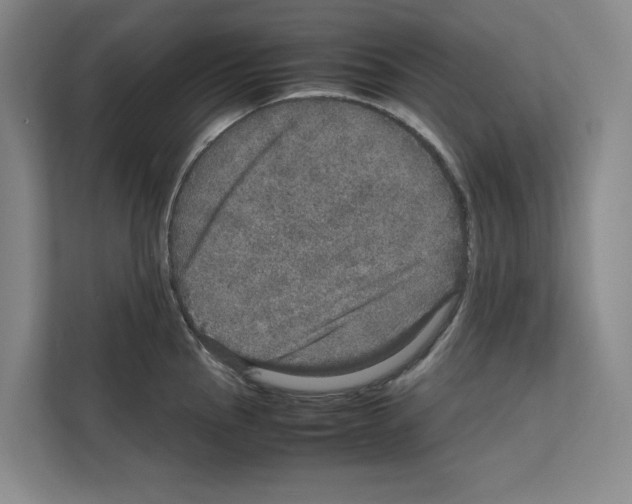 X0000111811145200909031425