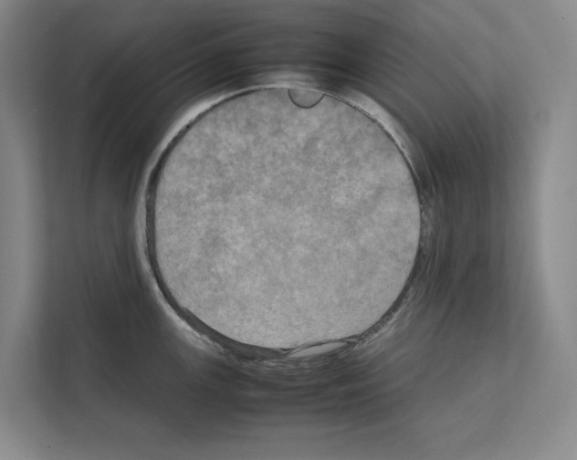 X0000111811147200909031425
